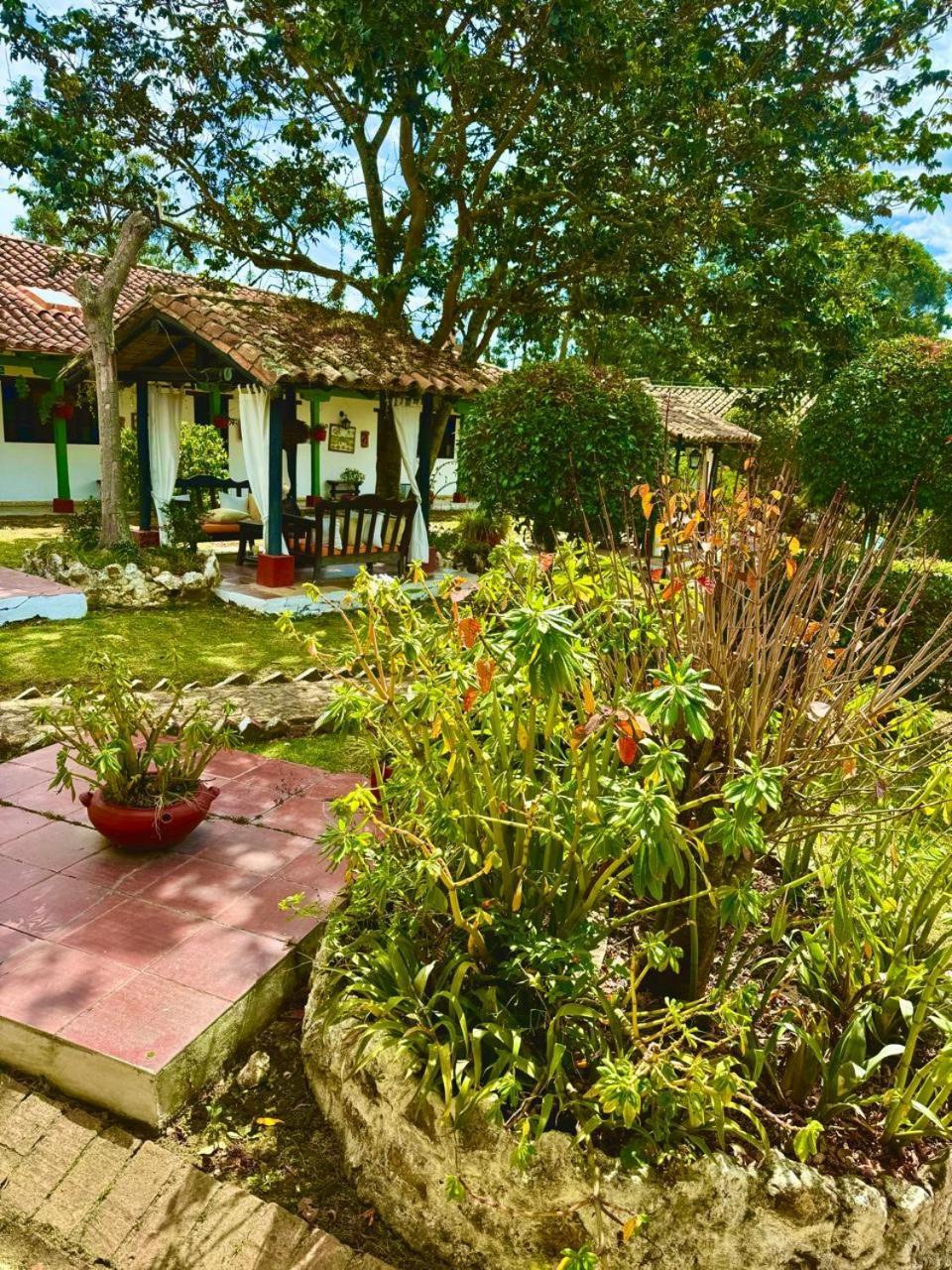 Hotel Boutique Iguaque Campestre Spa & Ecolodge บียาเดเลย์บา ภายนอก รูปภาพ